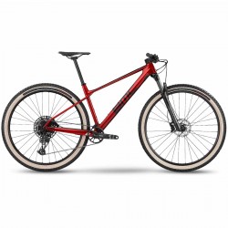 2022 BMC Twostroke 01 Four Mountain Bike