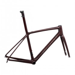 2022 Giant TCR Advanced SL Frameset
