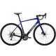 2024 Trek Domane AL 4 Gen 4 Road Bike