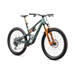 2025 Specialized S-Works Stumpjumper 15 LTD FOX DHX Live Valve Neo Mountain Bike