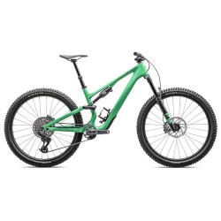 2025 Specialized Stumpjumper 15 Expert Mountain Bike