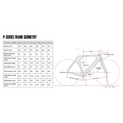 2025 Cervelo P Rival AXS Triathlon Bike
