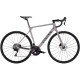 2026 Canyon Endurace CF 7 LTD Road Bike