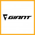 Giant Triathlon