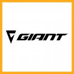 2022 Giant