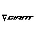 Giant Triathlon