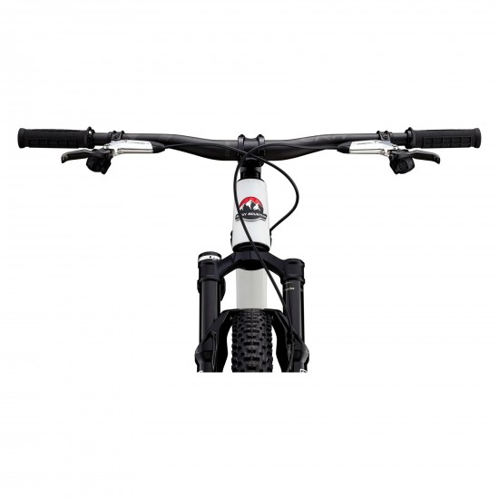 2025 Rocky Mountain Element Carbon 99