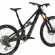 2025 Canyon Spectral:ONfly CF LTD Mountain Bike