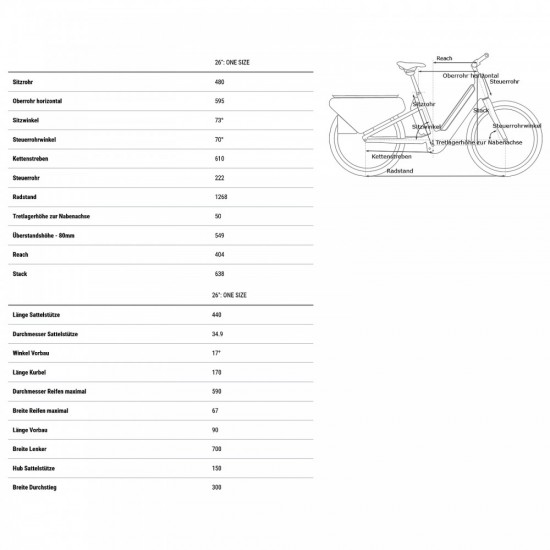 2025 Cube Longtail Sport Hybrid 725 - Electric Cargo Bike