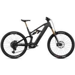 2025 Radon DEFT 10.0 800 Mountain Bike
