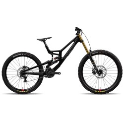 2025 Santa Cruz V10 DH X01 Mountain Bike
