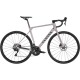 2026 Canyon Endurace CF 7 Road Bike