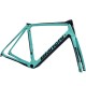 BIANCHI INFINITO CV DISC FRAMESET 2020